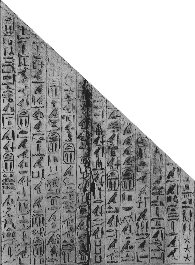 1560134126877001795.png